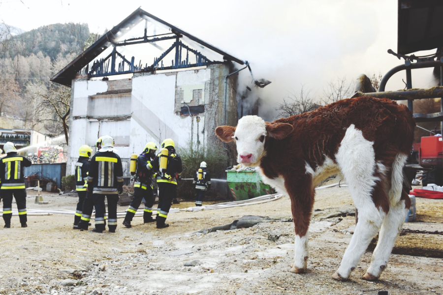 No more burning stables, product losses or waste of energy